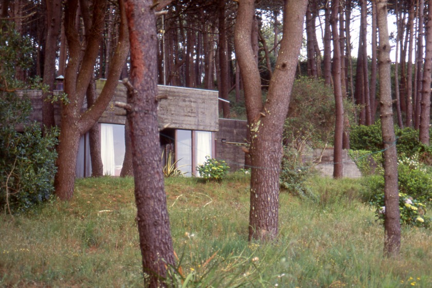 04 - Montedor